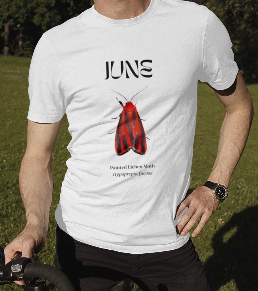 June Hypoprepia Fucosa Painted Lichen Moth T-Shirt