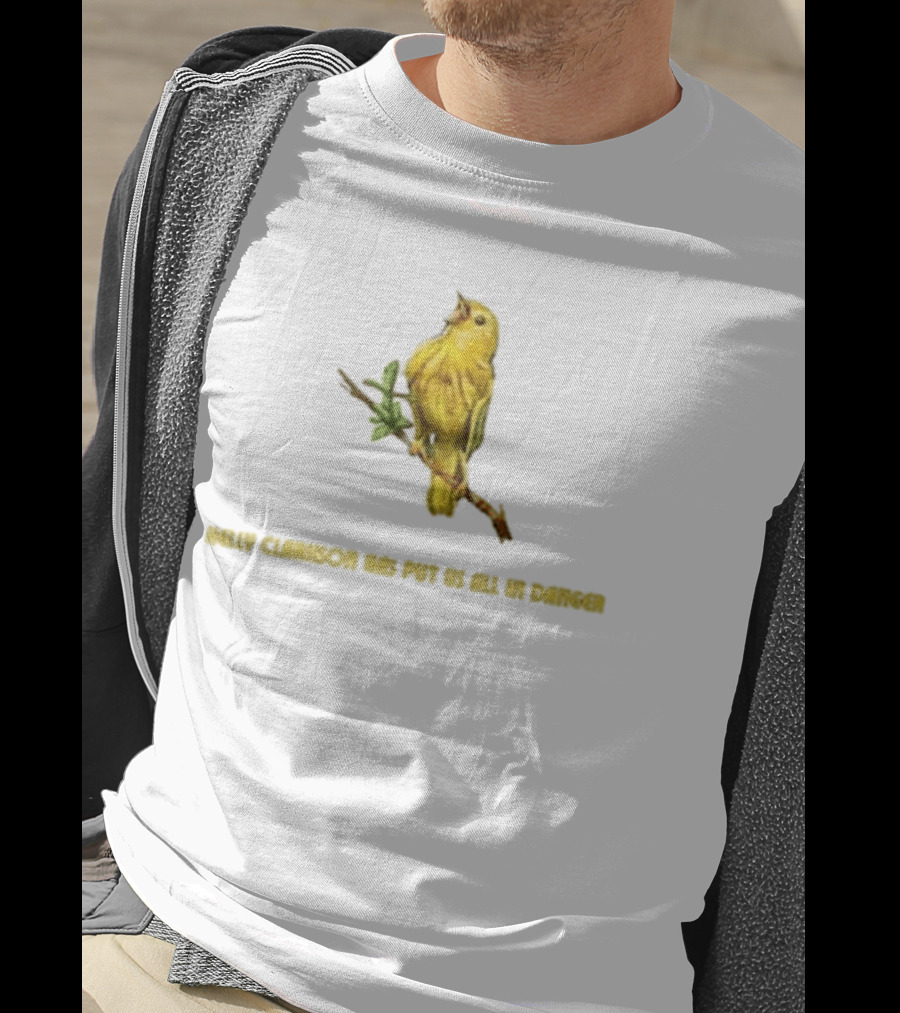 Kelly Clarkson Has Put Us All In Danger Molly Bird T-Shirt