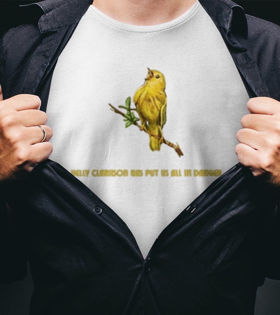 Kelly Clarkson Has Put Us All In Danger Molly Bird T-Shirt