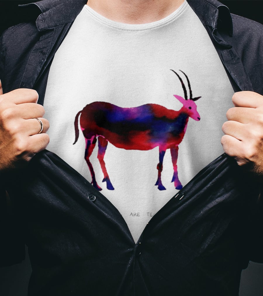 The Stars Are Telling Lies Again Astrology Watercolor Goat T-Shirt