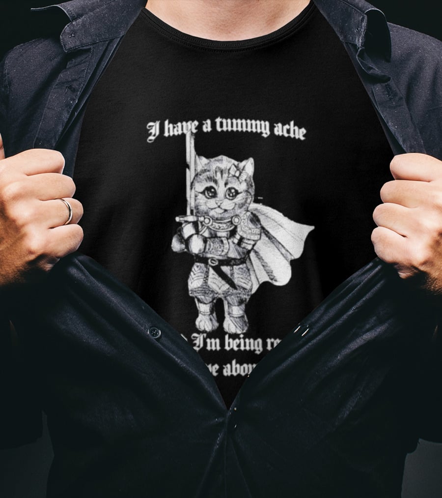 I Have A Tummy Ache And I'm Being Really Brave About It Knight Cat With Sword T-Shirt
