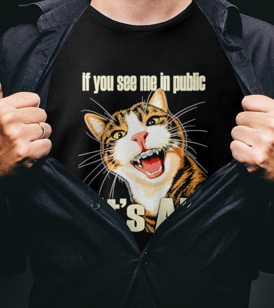 If You See Me In Public It's AI Cat T-Shirt