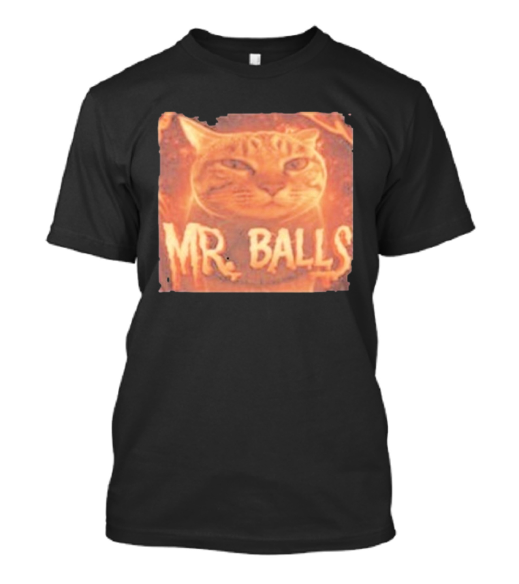 Mr Balls Cat T-Shirt