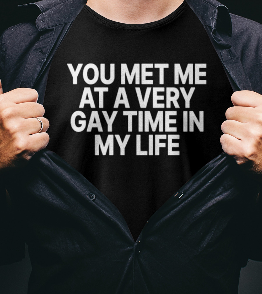 You Met Me At A Very Gay Time In My Life T-Shirt
