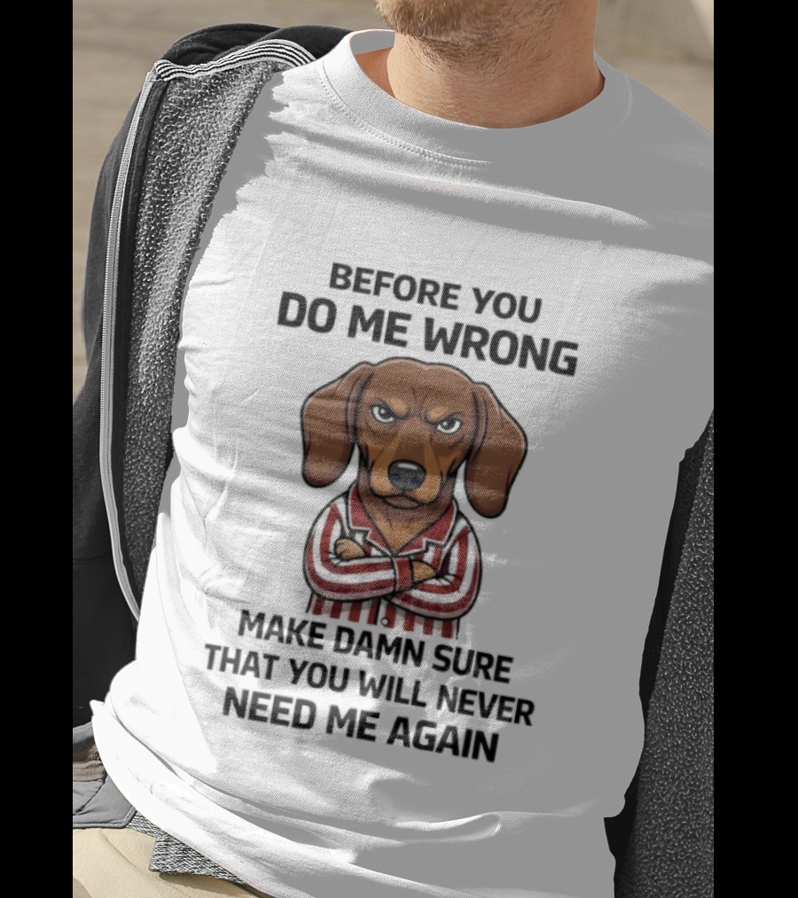 Grumpy Dog Before You Do Me Wrong Make Damn Sure You Will Never Need Me Again T-Shirt