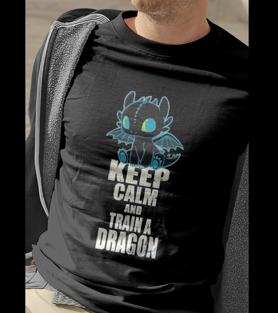 Keep Calm And Train A Dragon Toothless How To Train Your Dragon Cartoon T-Shirt