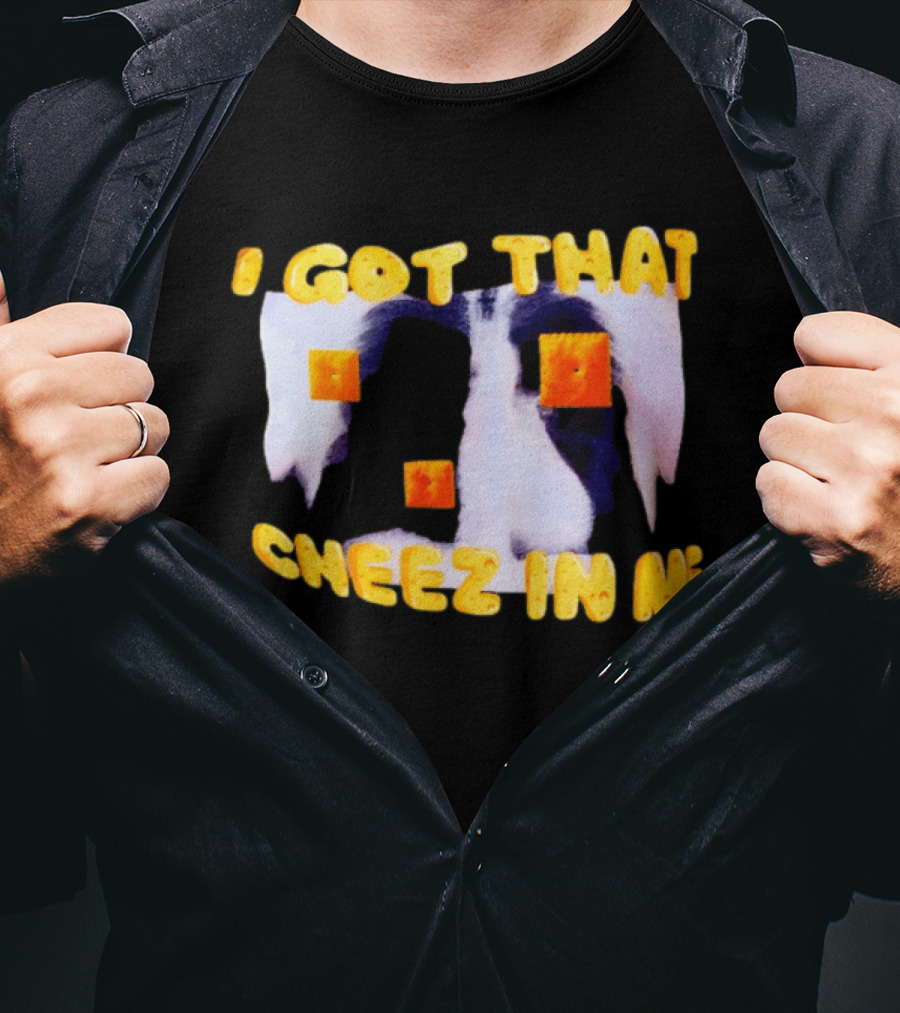 I Got That Cheez In Me Cheez It Cheddar Squares T-Shirt