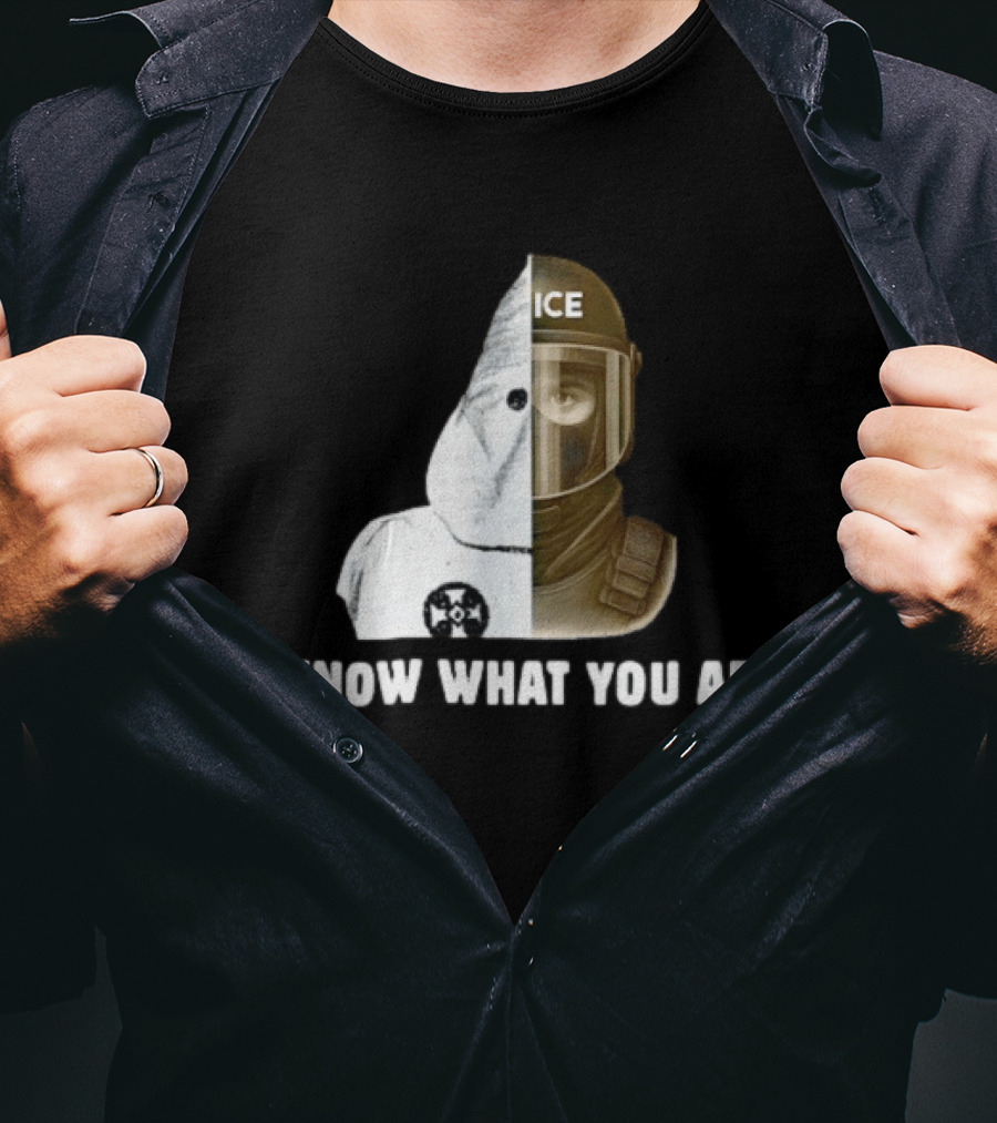 Abolish ICE Social Justice I Know What You Are KKK Comparison T-Shirt