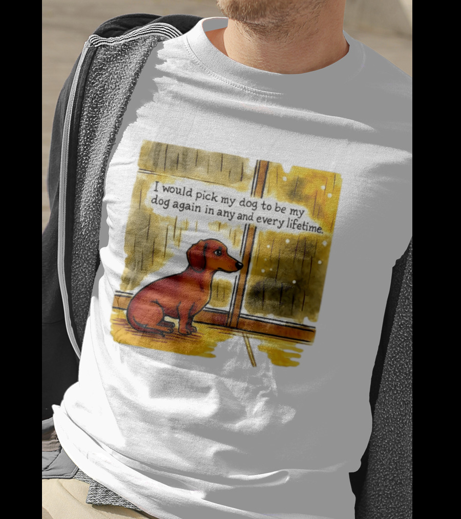 I Would Pick My Dog To Be My Dog Again In Any And Every Lifetime Dachshund By Window T-Shirt