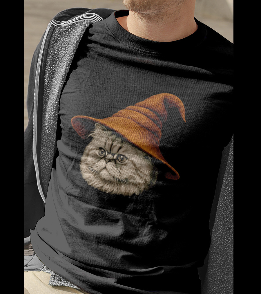 Beanie Cat Wizard Cartoon Plush Orange Hat Feline T-Shirt