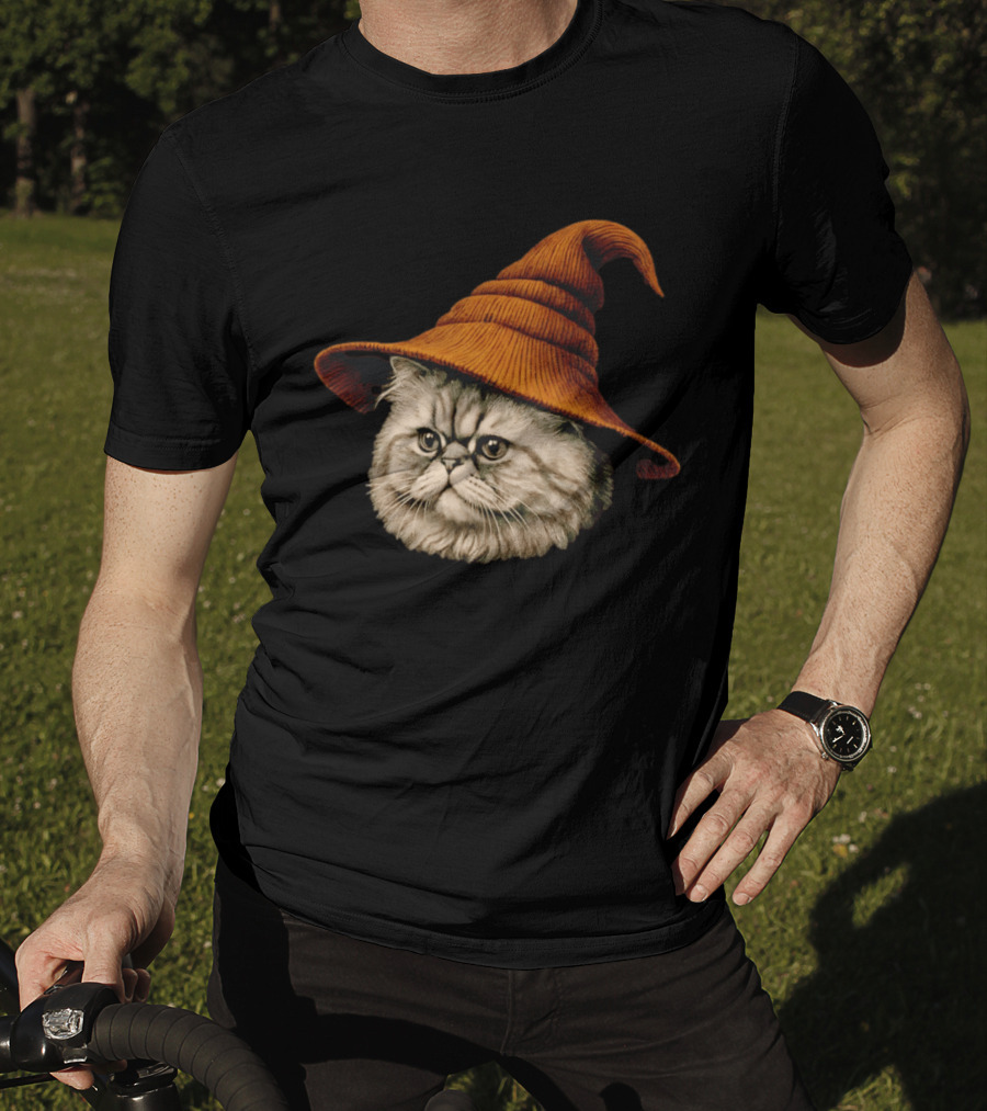 Beanie Cat Wizard Cartoon Plush Orange Hat Feline T-Shirt