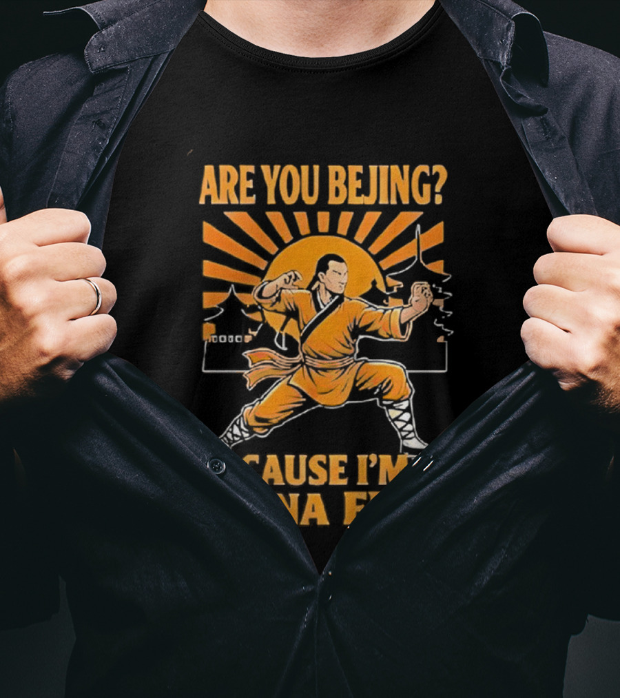 China Kung Fu Humor Are You Beijing Cause I'm China Martial Arts Joke T-Shirt