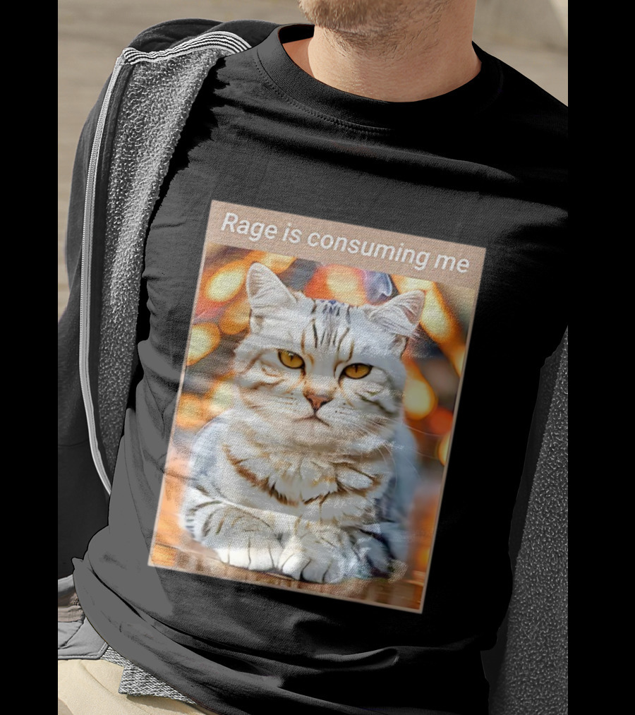 Cat Rage Is Consuming Me Meme Tiger Stripes T-Shirt