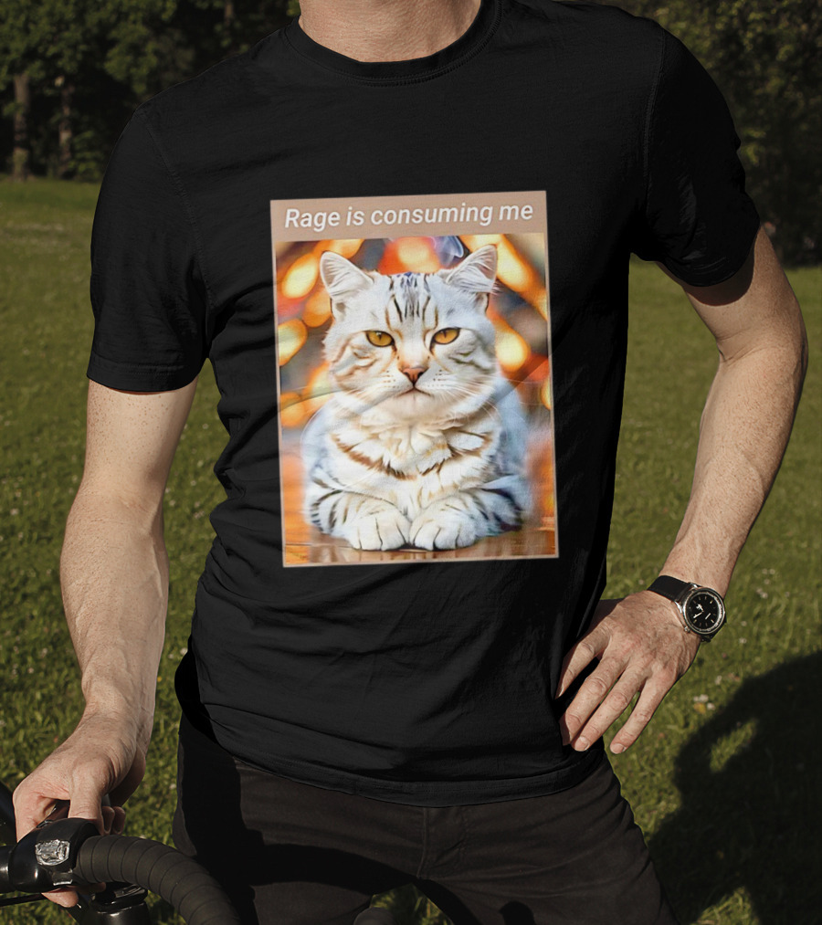 Cat Rage Is Consuming Me Meme Tiger Stripes T-Shirt