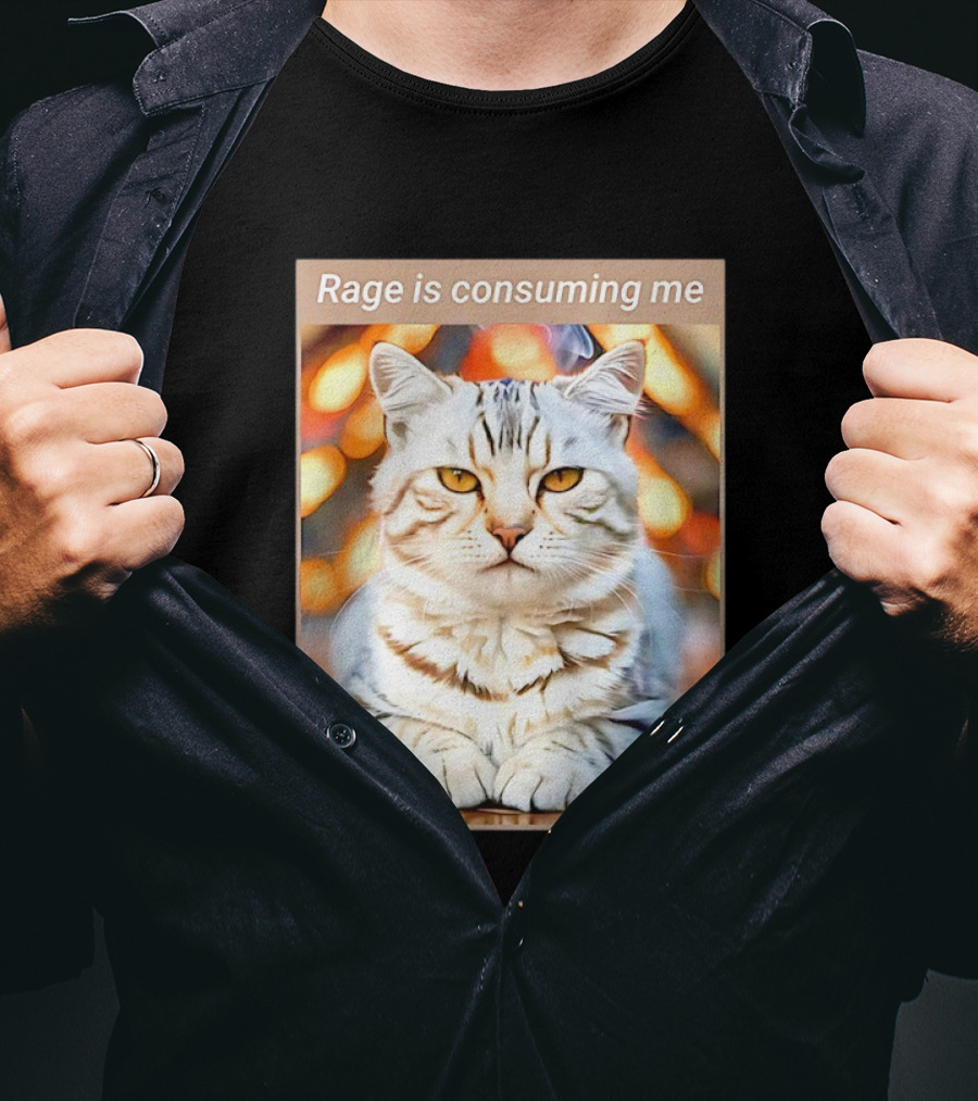 Cat Rage Is Consuming Me Meme Tiger Stripes T-Shirt