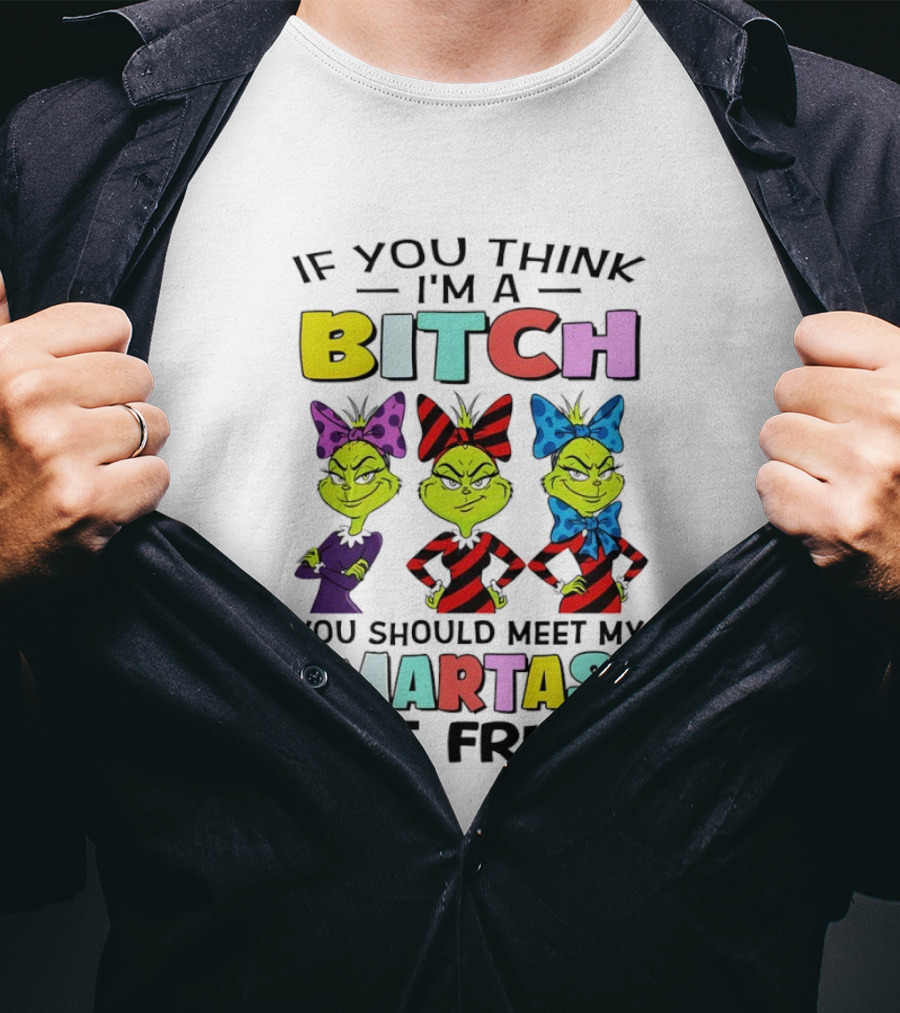 Bitch Smartass Grinch Best Friend Colorful Sassy Attitude T-Shirt