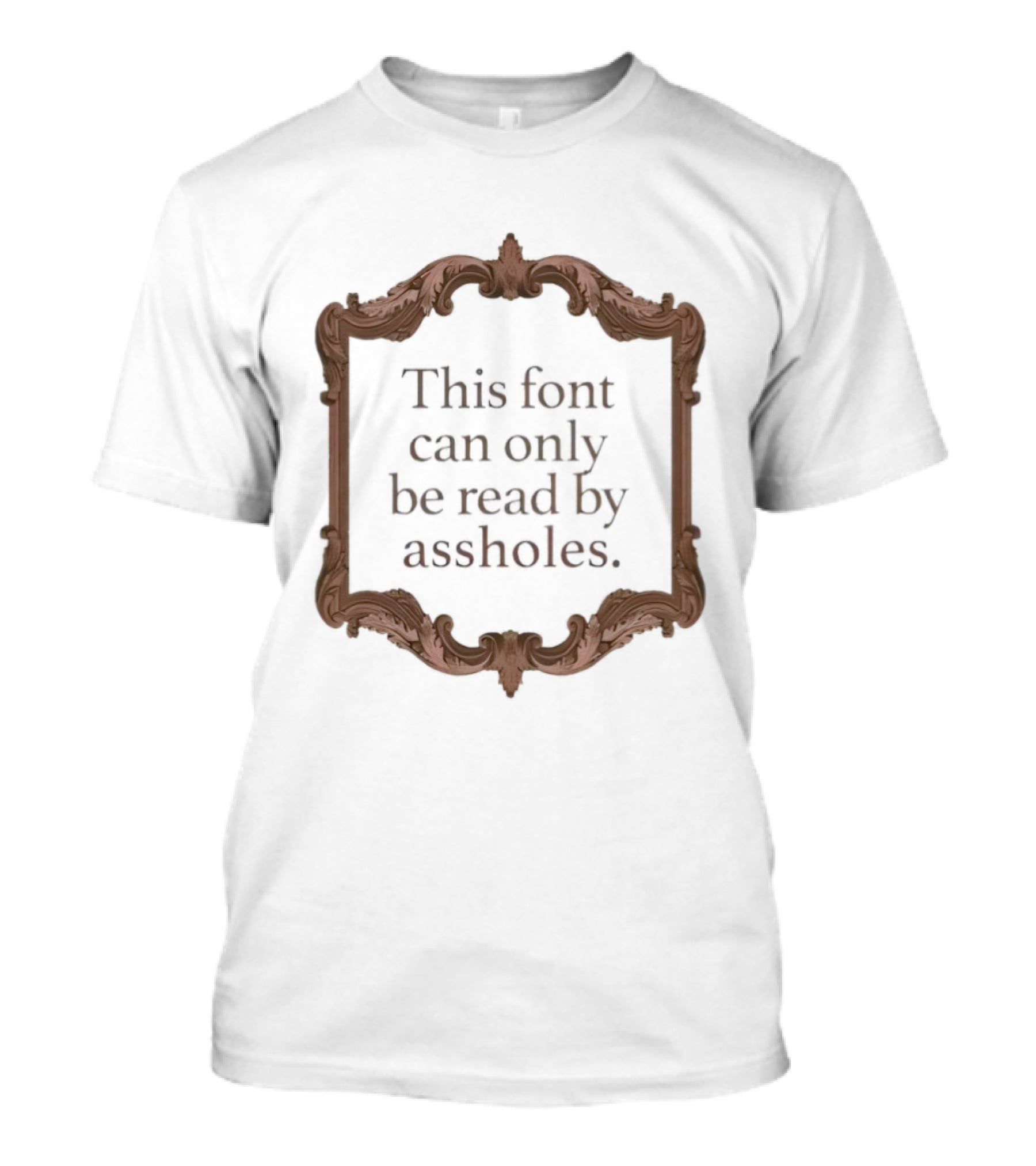 This Font Can Only Be Read By Assholes Frame T-Shirt