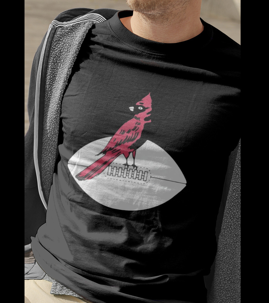 Arizona Cardinals Bird On Football T-Shirt