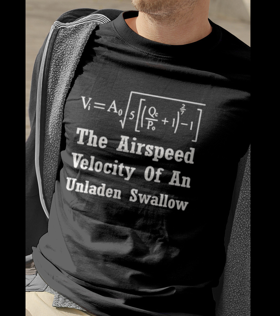 The Airspeed Velocity Of An Unladen Swallow Formula Equation Vi A0 T-Shirt