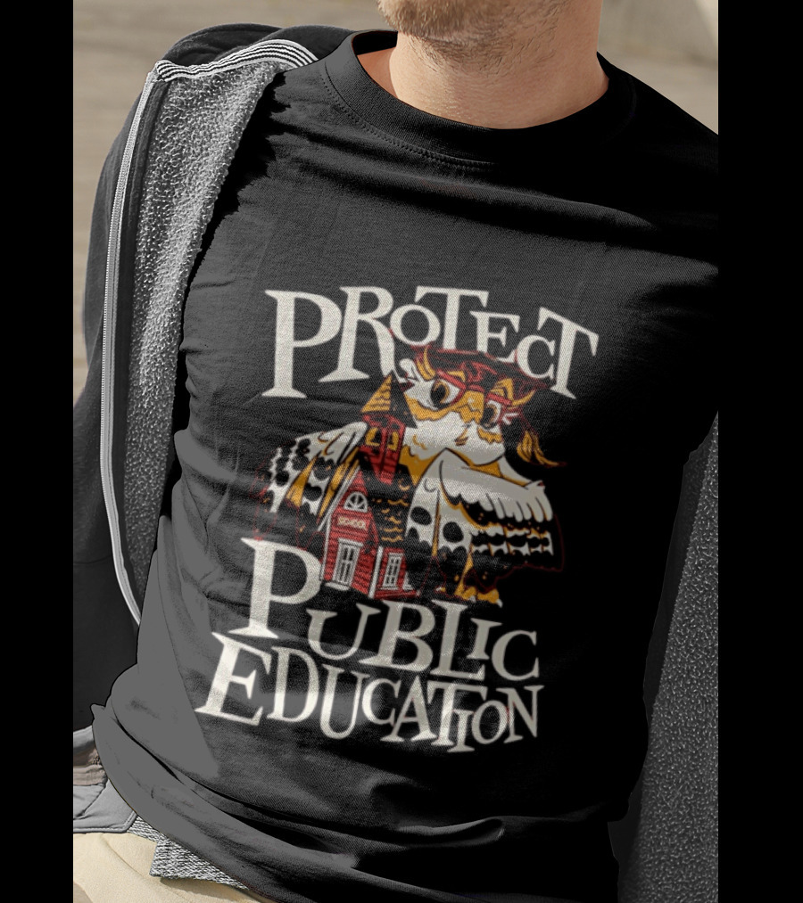 United State Of Indiana Protect Public Education Owl And Schoolhouse T-Shirt