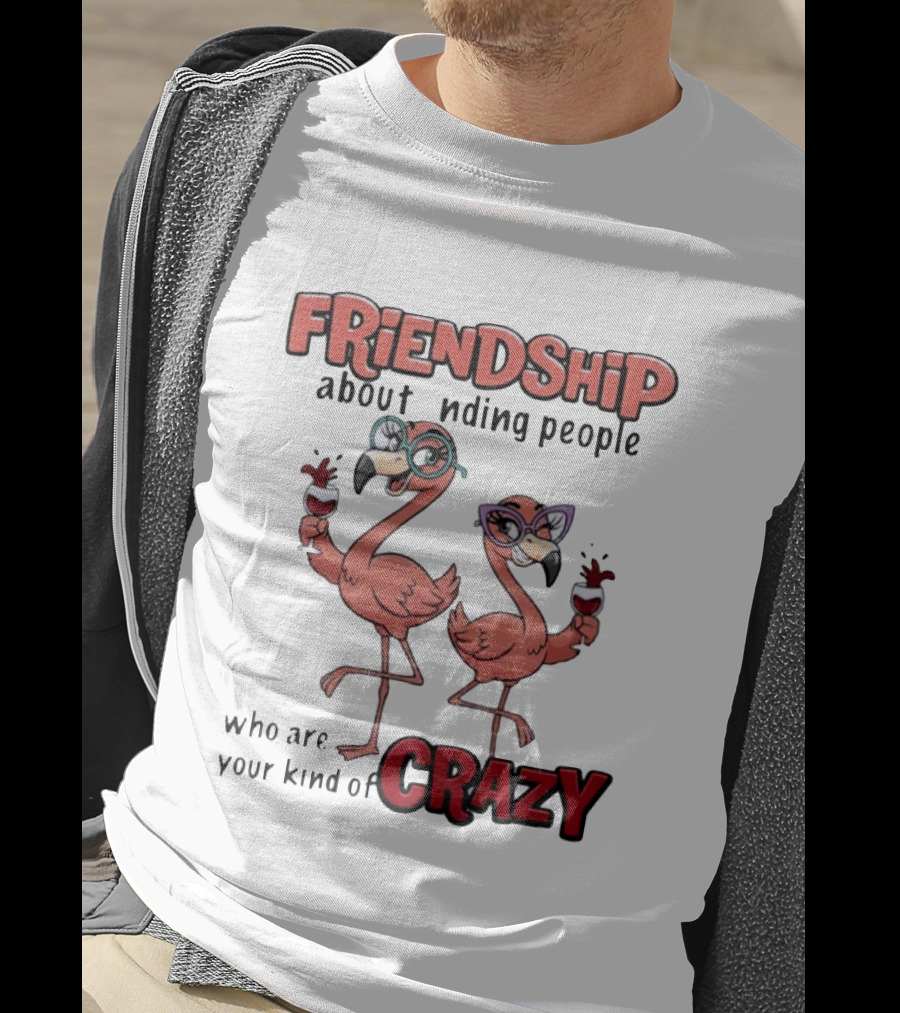FRIENDSHIP About Finding People Who Are Your Kind Of CRAZY Flamingo Humor T-Shirt