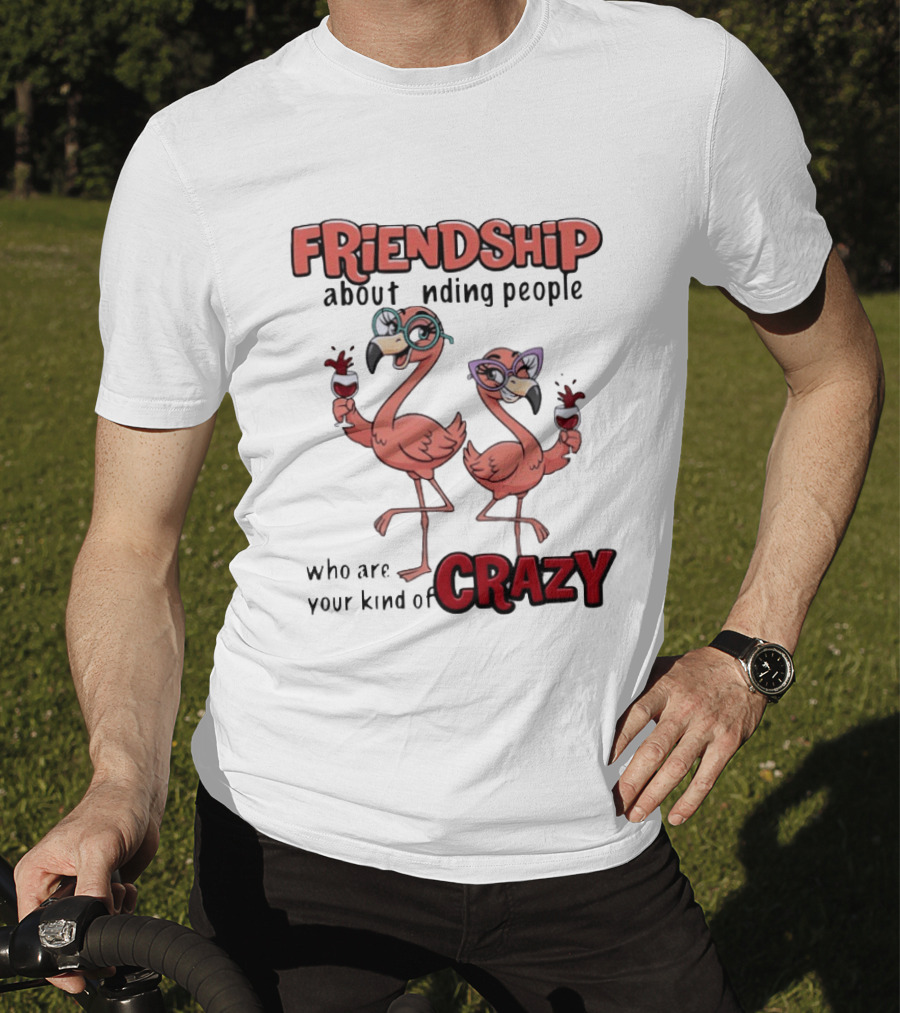 FRIENDSHIP About Finding People Who Are Your Kind Of CRAZY Flamingo Humor T-Shirt