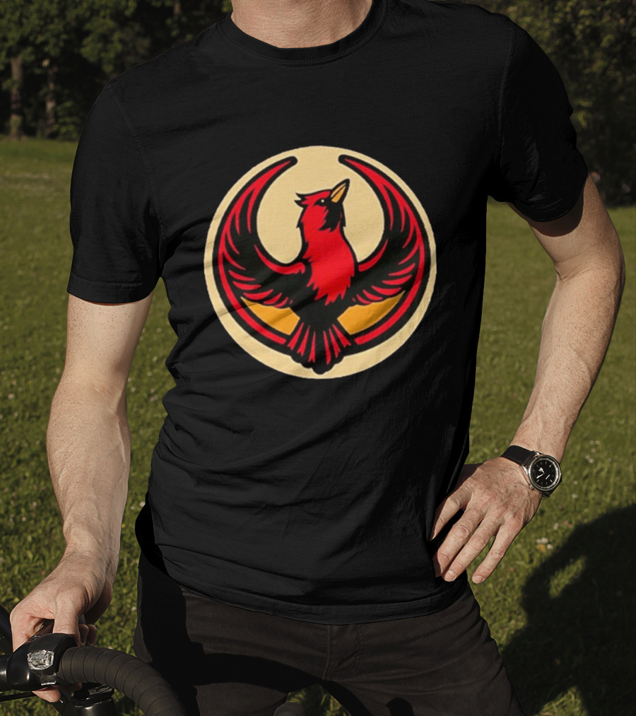 Hailing Illinois Resistance Rebel T-Shirt
