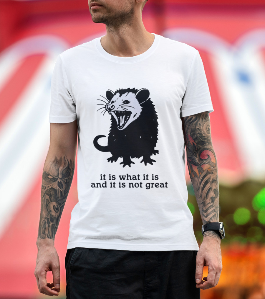It Is What It Is And It Is Not Great Opossum T-Shirt