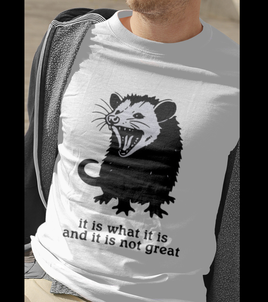 It Is What It Is And It Is Not Great Opossum T-Shirt