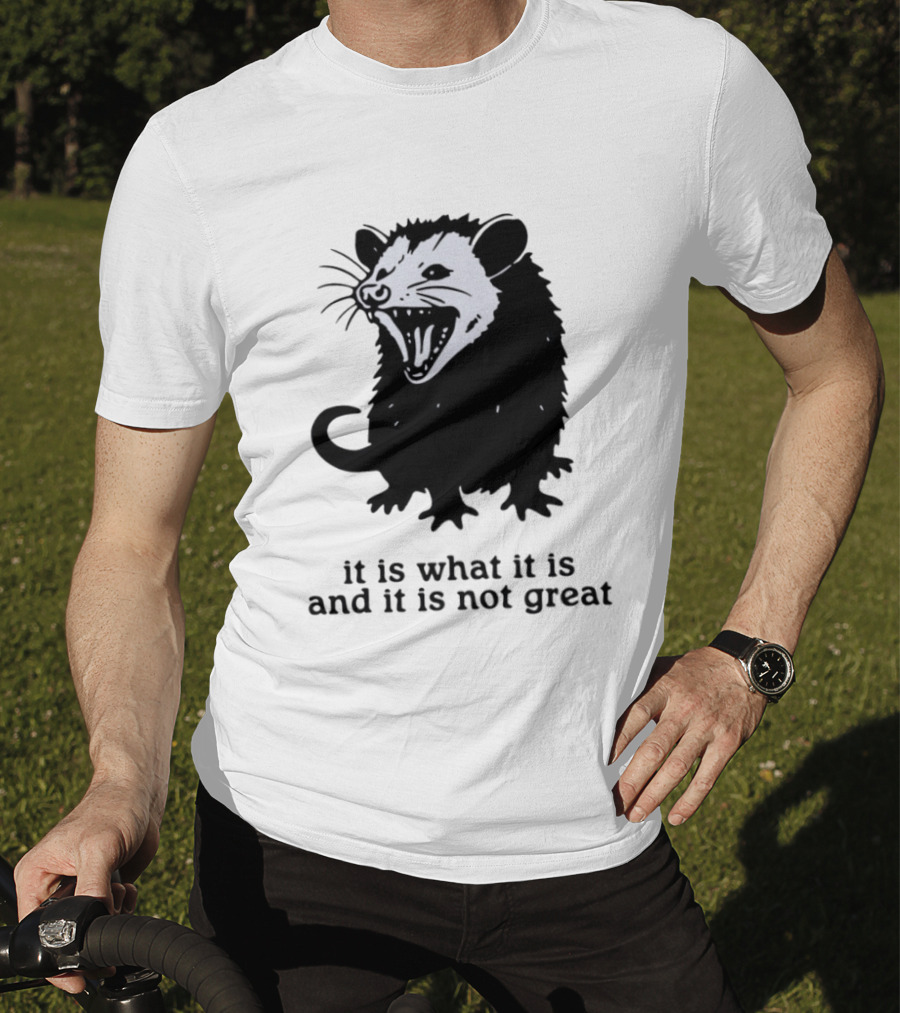 It Is What It Is And It Is Not Great Opossum T-Shirt