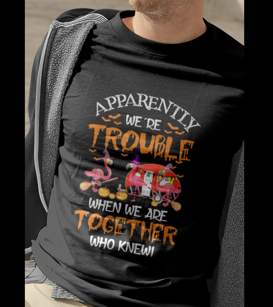 Apparently We're Trouble Flamingos Halloween Together Who Knew T-Shirt