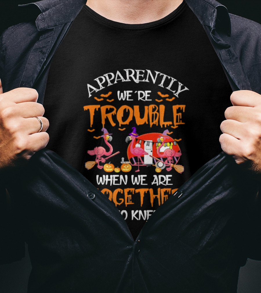 Apparently We're Trouble Flamingos Halloween Together Who Knew T-Shirt