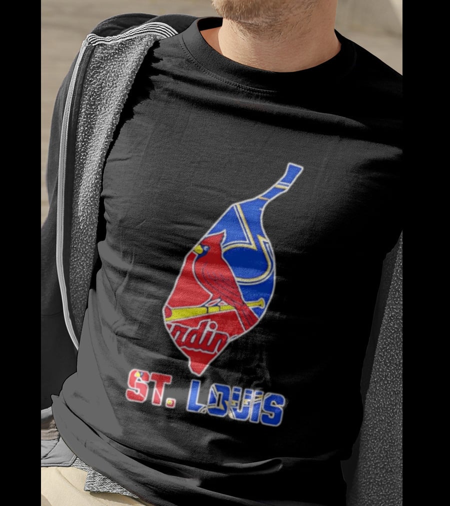 St. Louis Cardinals And Blues Team Spirit T-Shirt