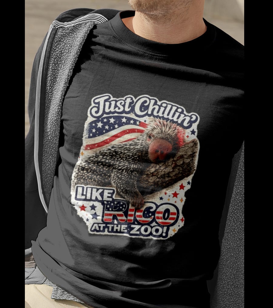Just Chillin' Like Rico At The Zoo Patriotic Porcupine Vibes T-Shirt