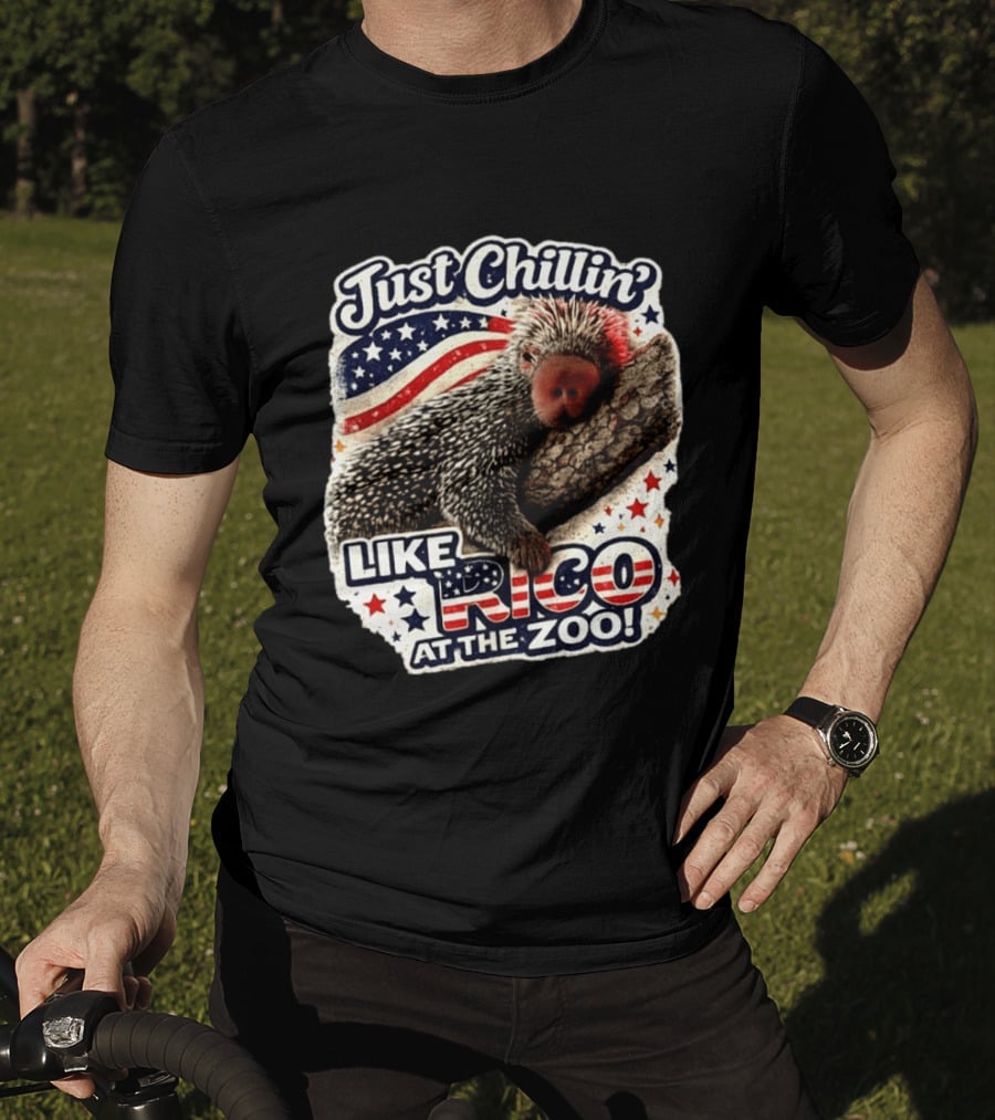 Just Chillin' Like Rico At The Zoo Patriotic Porcupine Vibes T-Shirt