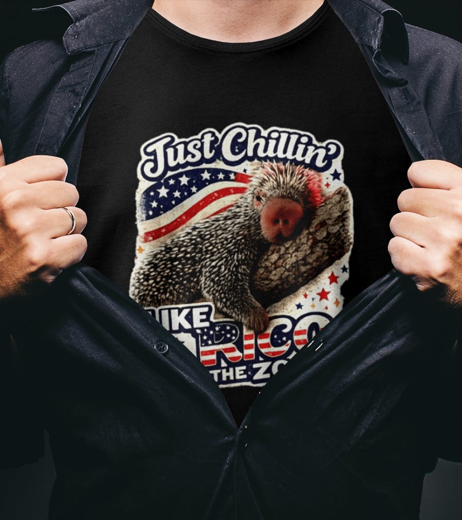 Just Chillin' Like Rico At The Zoo Patriotic Porcupine Vibes T-Shirt
