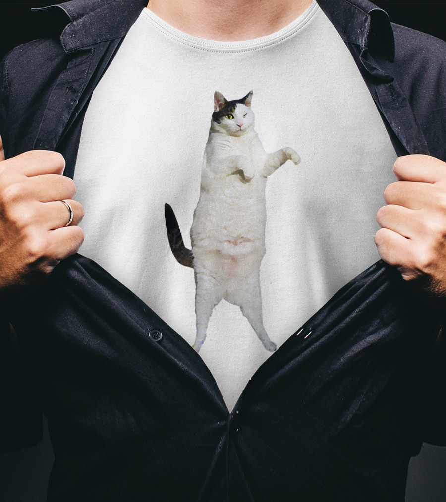 Kitty Cat Dance Meme T-Shirt