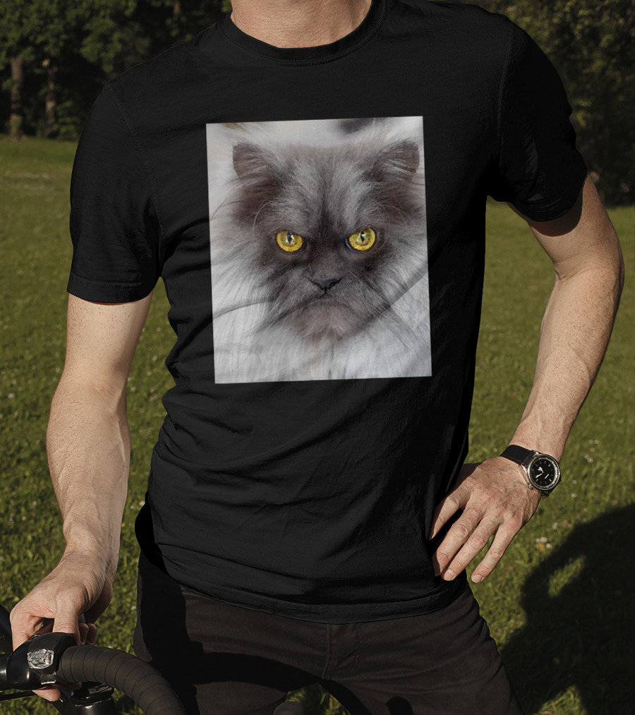 Jun The Angry Cat Golden Eyes Grumpy Expression T-Shirt