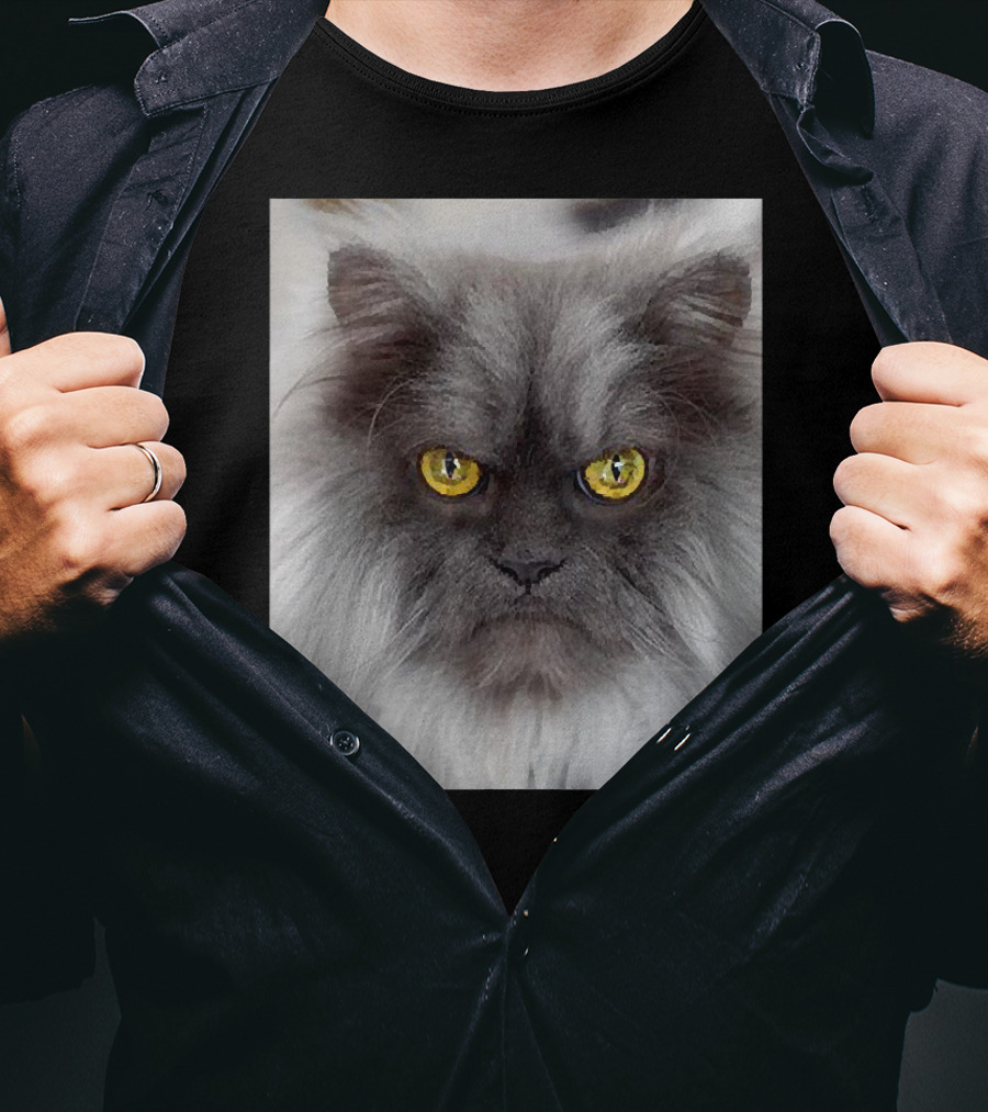 Jun The Angry Cat Golden Eyes Grumpy Expression T-Shirt