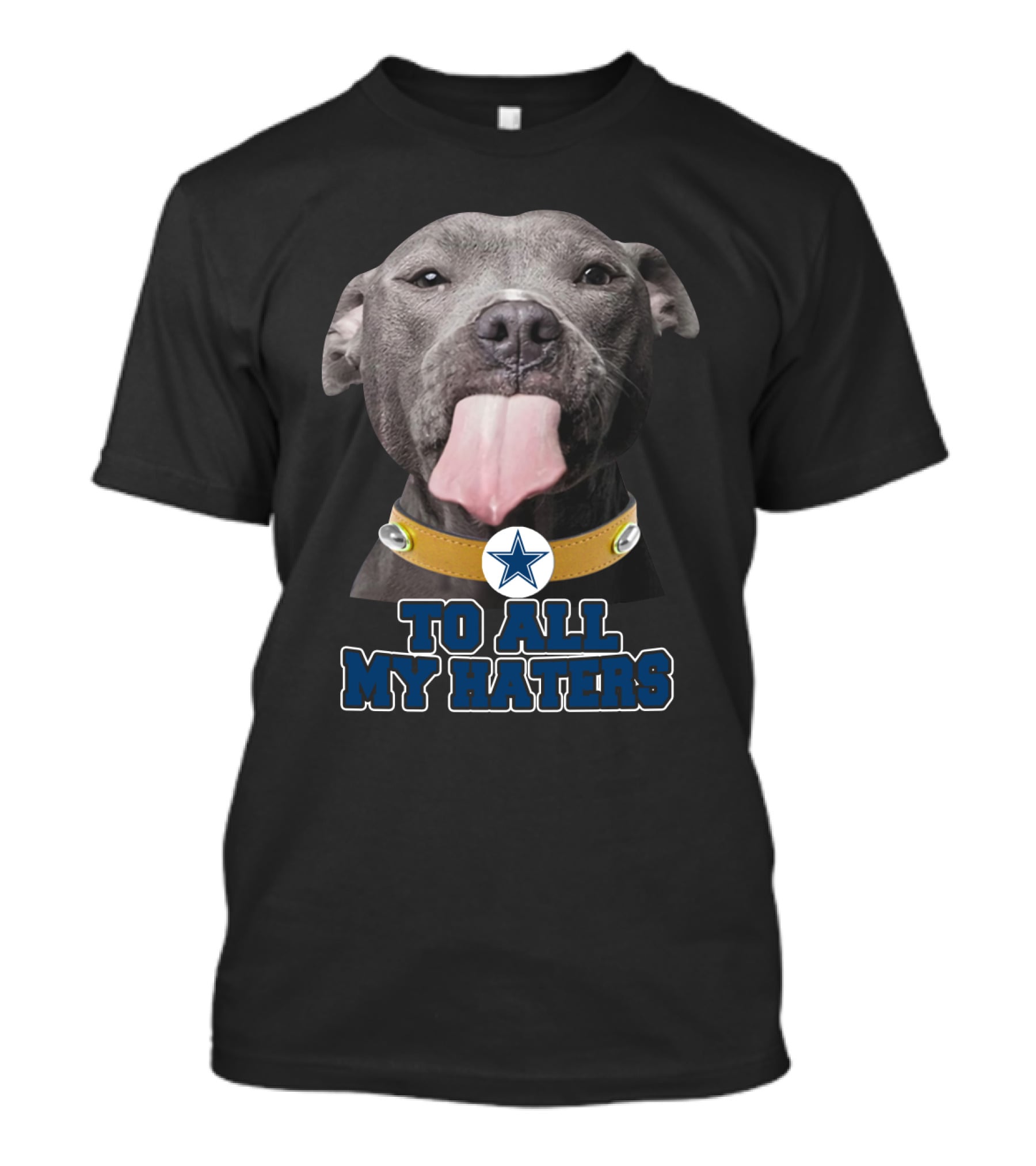 Cowboys Star Pitbull Humor To All My Haters T-Shirt