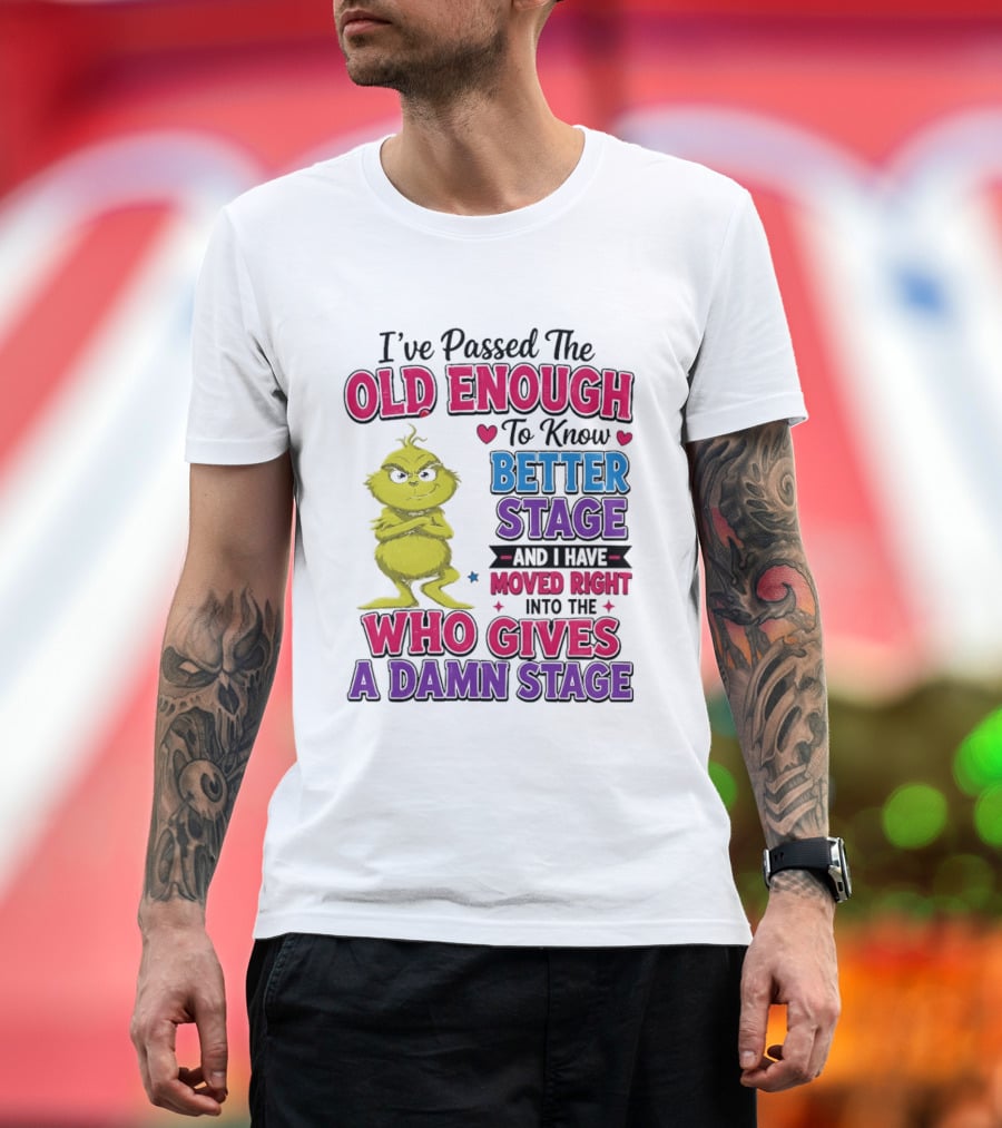 Passed The Old Enough To Know Better Moved Right Into The Who Gives A Damn Stage T-Shirt