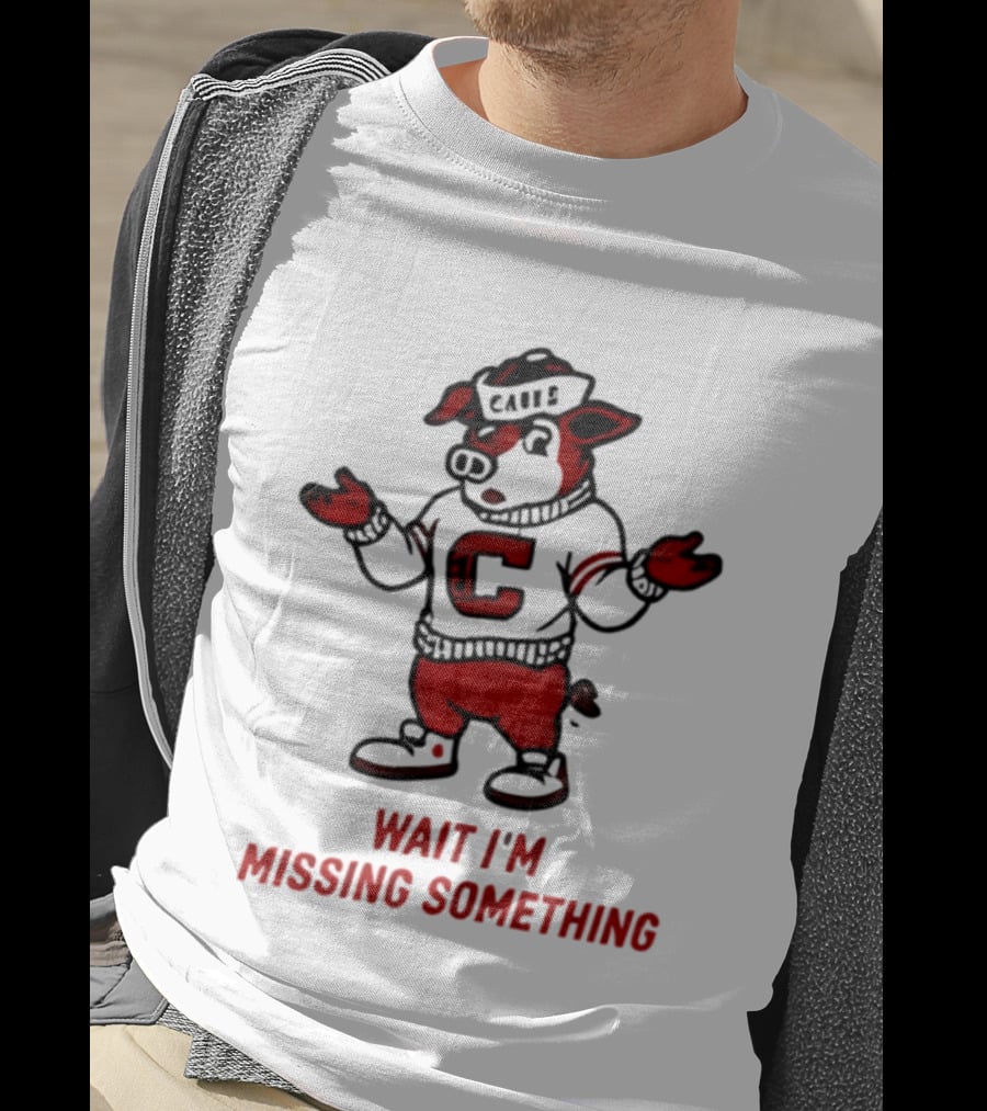Carolina Hurricanes Wait I'm Missing Something 2026 NHL Hockey C Sweater Pig T-Shirt