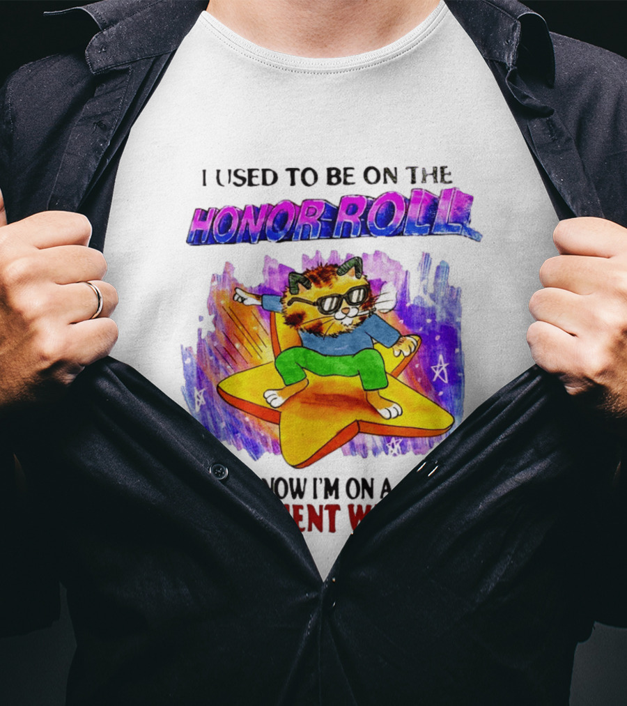 I Used To Be On The Honor Roll Cat On Star Now I'm On A Government List T-Shirt