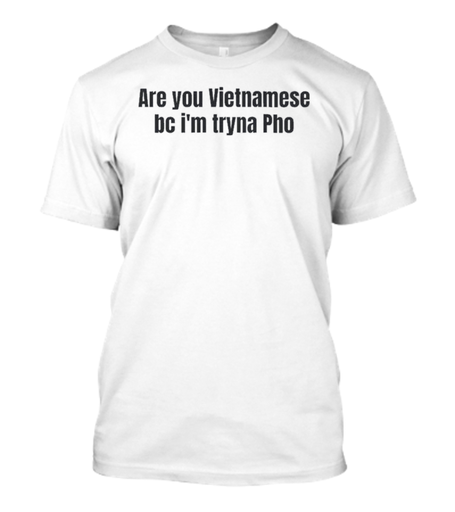 Are You Vietnamese Bc I'm Tryna Pho Vietnamese Noodle Pun T-Shirt
