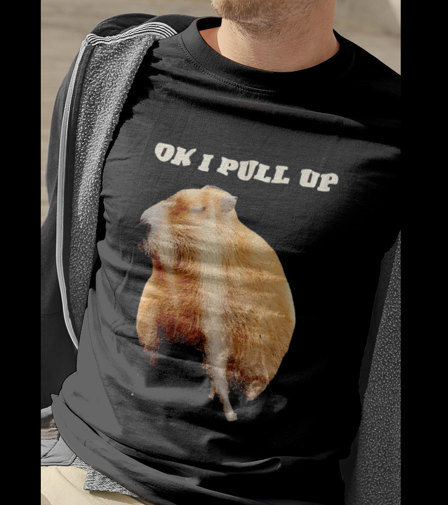 Ok I Pull Up Capybara Meme T-Shirt