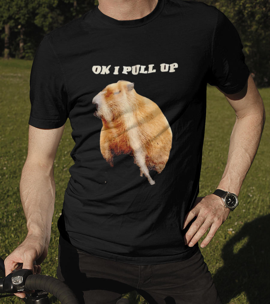 Ok I Pull Up Capybara Meme T-Shirt