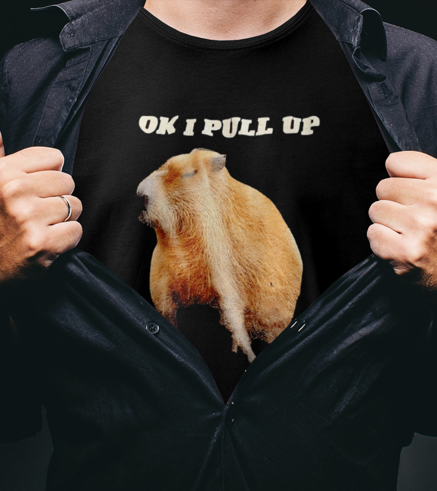 Ok I Pull Up Capybara Meme T-Shirt