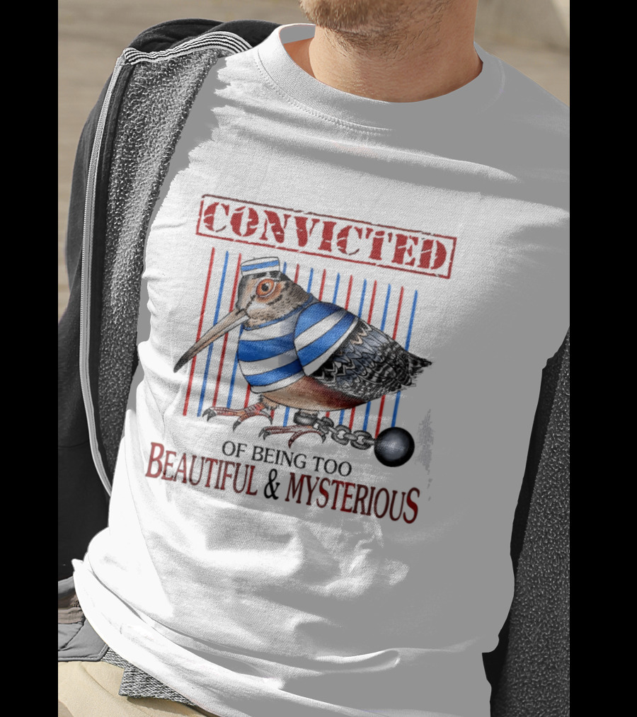 Convicted Of Being Too Beautiful And Mysterious Bird Prisoner Stripes T-Shirt