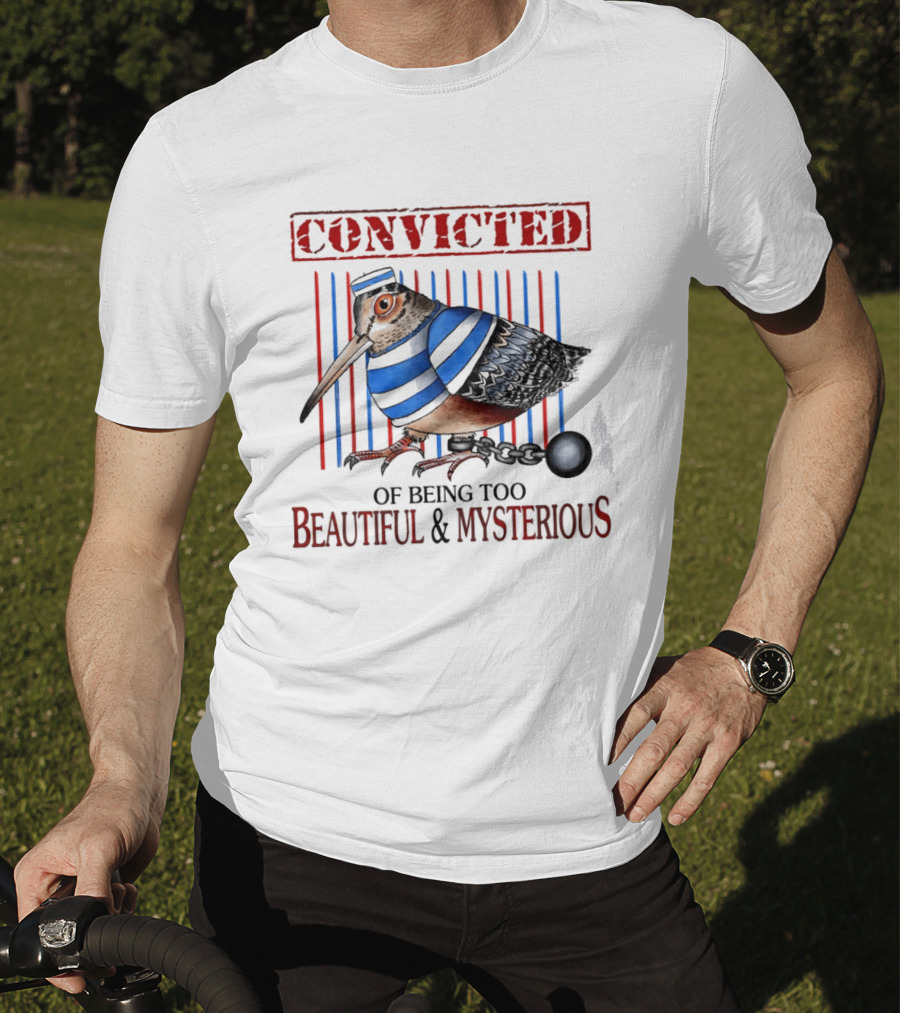 Convicted Of Being Too Beautiful And Mysterious Bird Prisoner Stripes T-Shirt