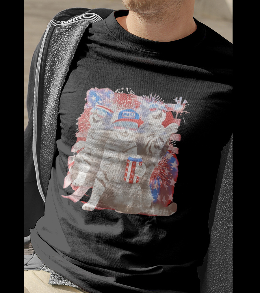 Mew's A Patriotic American Flag Cats Fireworks Party Animal Holiday USA T-Shirt
